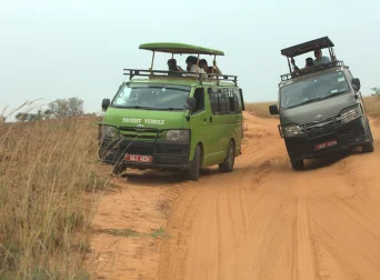 safari-game-drive-in-uganda