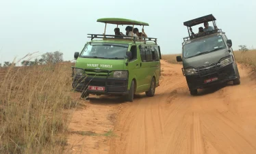 safari-game-drive-in-uganda