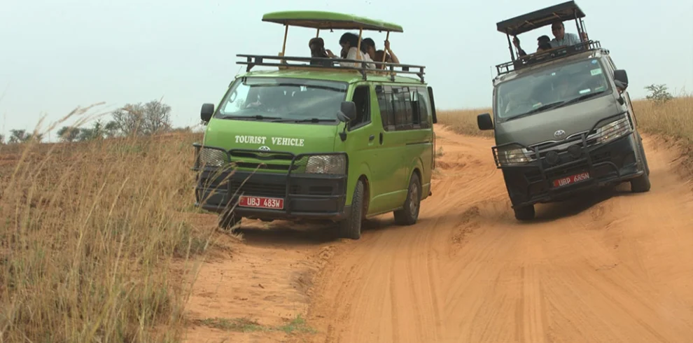 safari-game-drive-in-uganda
