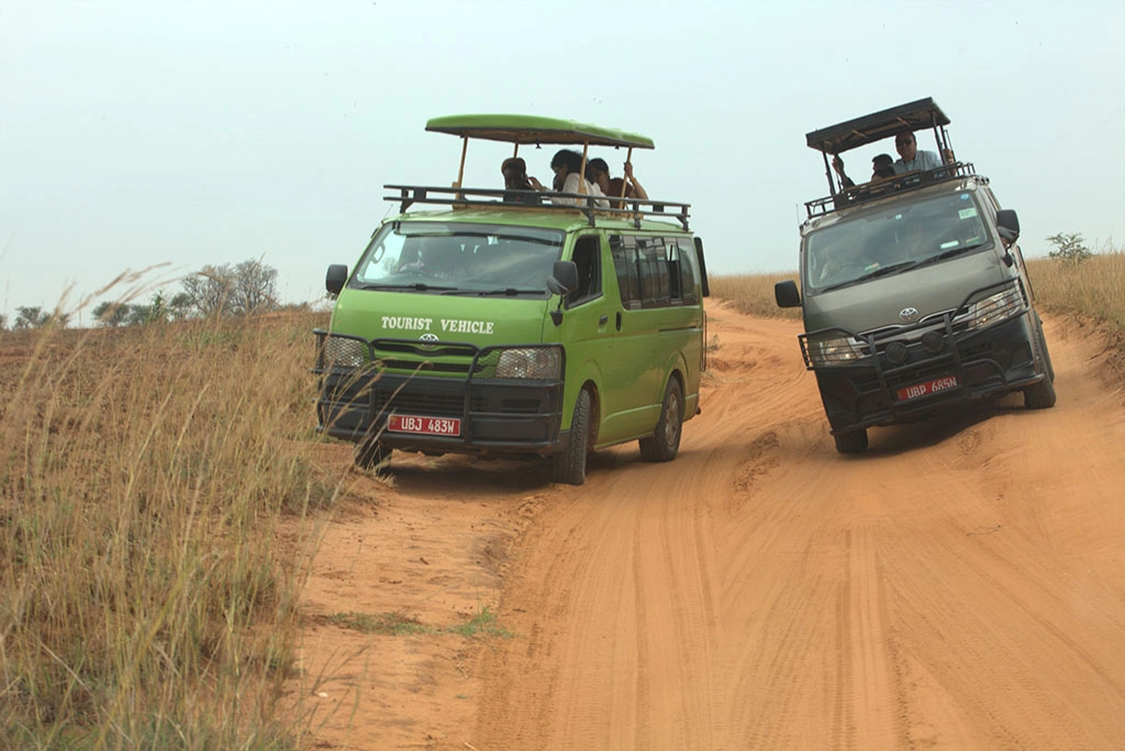 safari-game-drive-in-uganda