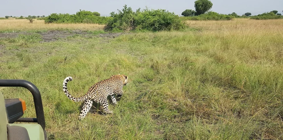 20-days-uganda-rwanda-safari