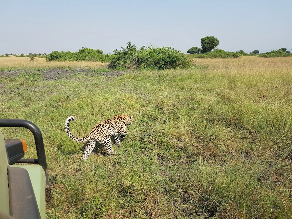 20-days-uganda-rwanda-safari