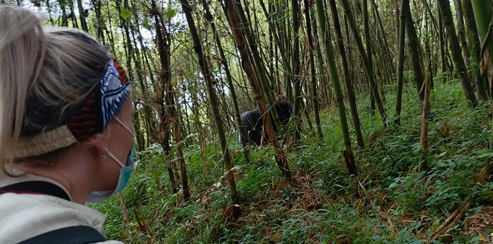 16-day-wildlife-primates-and-nature-safari-in-uganda