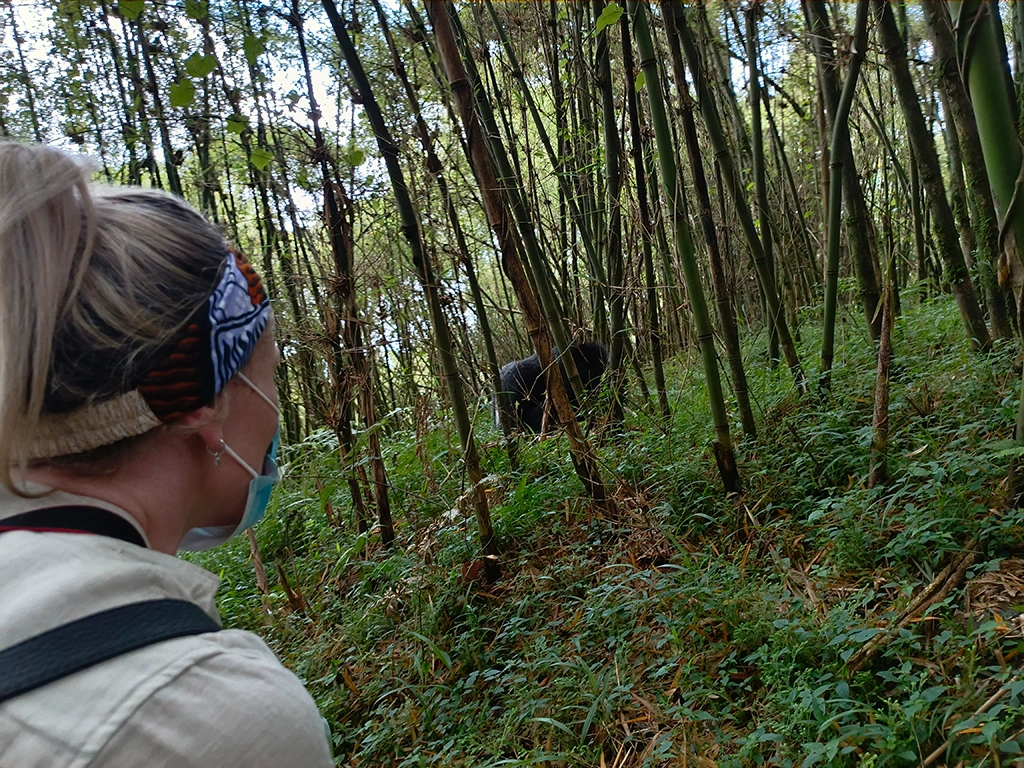 16-day-wildlife-primates-and-nature-safari-in-uganda